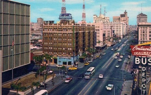 The Sofia Hotel - image 5
