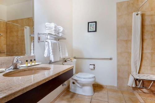 Best Western Plus Hacienda Hotel Old Town - image 26
