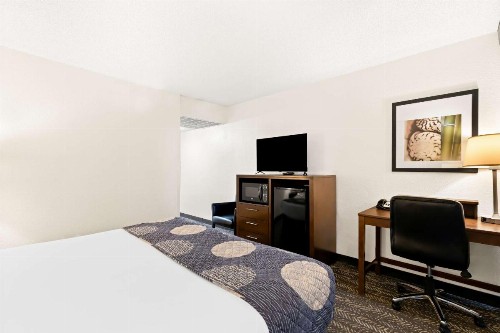 Best Western Yacht Harbor Hotel - image 12