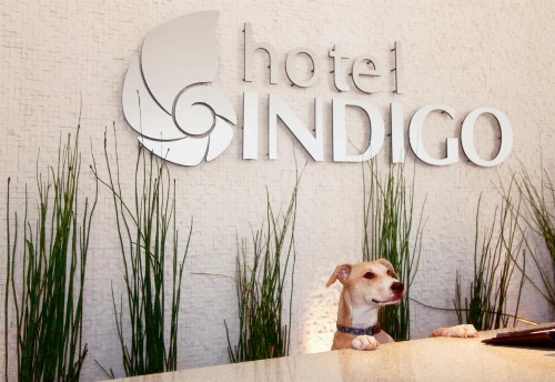 Hotel Indigo San Diego - Gaslamp Quarter an IHG Hotel - image 7