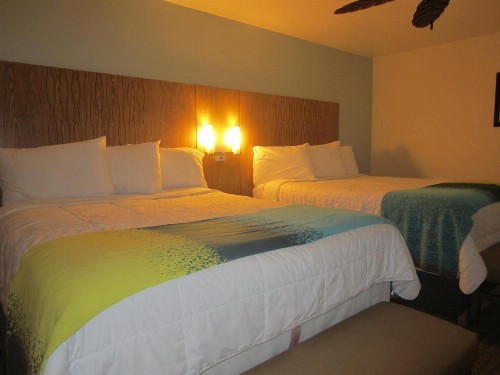 PB Surf Beachside Inn - image 17