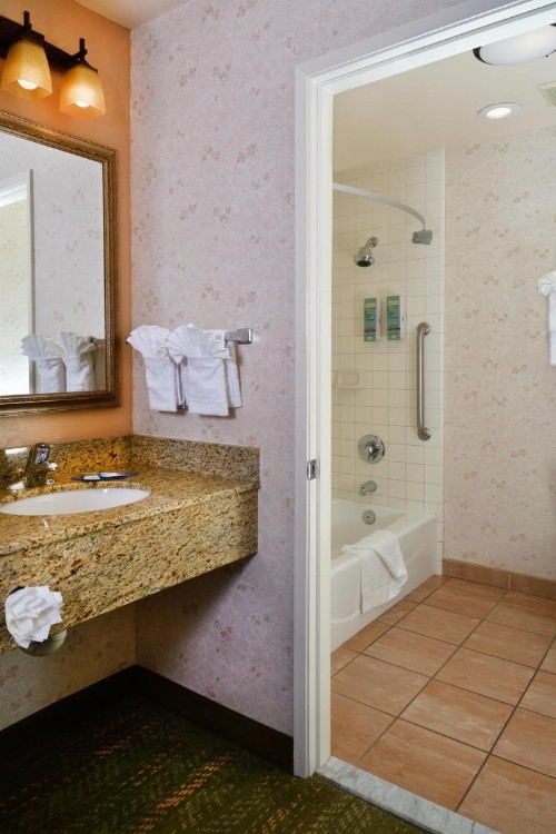 Lamplighter Inn & Suites at SDSU - image 20