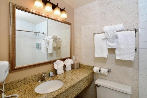 Lamplighter Inn & Suites at SDSU - image 9