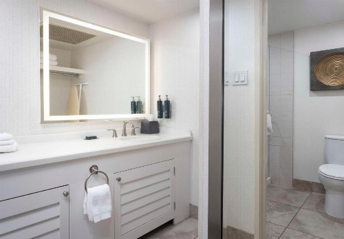 Holiday Inn San Diego Bayside an IHG Hotel - image 16