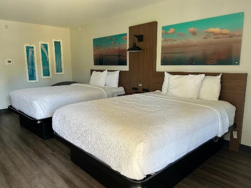 La Quinta Inn by Wyndham San Diego - Miramar - image 13