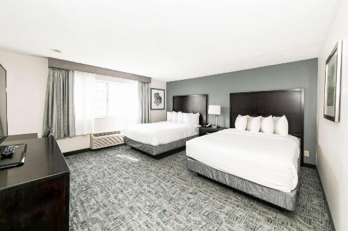 Comfort Inn & Suites San Diego Zoo SeaWorld Area - image 12