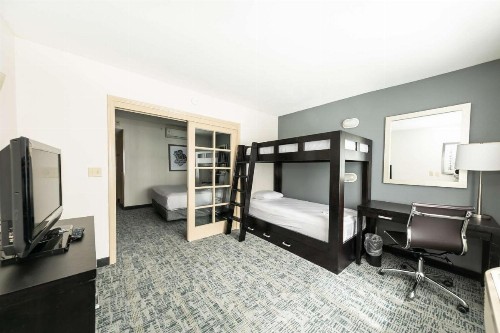 Comfort Inn & Suites San Diego Zoo SeaWorld Area - image 13
