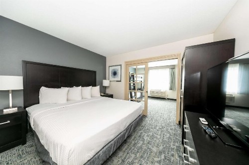 Comfort Inn & Suites San Diego Zoo SeaWorld Area - image 14