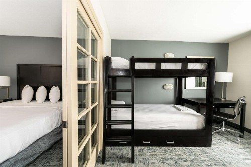 Comfort Inn & Suites San Diego Zoo SeaWorld Area - image 16