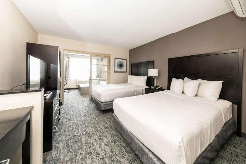Comfort Inn & Suites San Diego Zoo SeaWorld Area - image 17