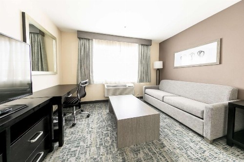 Comfort Inn & Suites San Diego Zoo SeaWorld Area - image 20