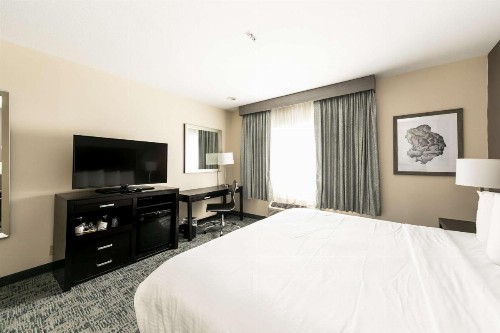 Comfort Inn & Suites San Diego Zoo SeaWorld Area - image 21