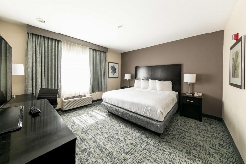 Comfort Inn & Suites San Diego Zoo SeaWorld Area - image 22