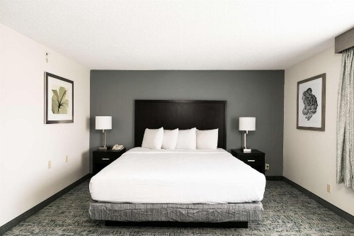 Comfort Inn & Suites San Diego Zoo SeaWorld Area - image 24