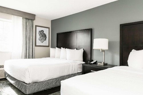 Comfort Inn & Suites San Diego Zoo SeaWorld Area - image 27