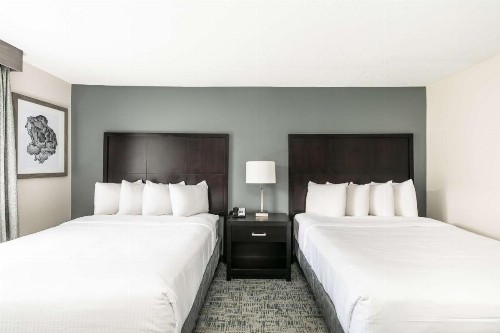 Comfort Inn & Suites San Diego Zoo SeaWorld Area - image 28