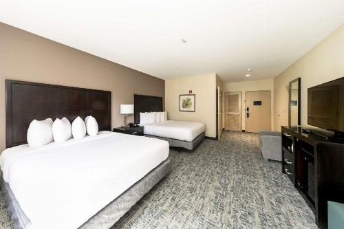 Comfort Inn & Suites San Diego Zoo SeaWorld Area - image 31
