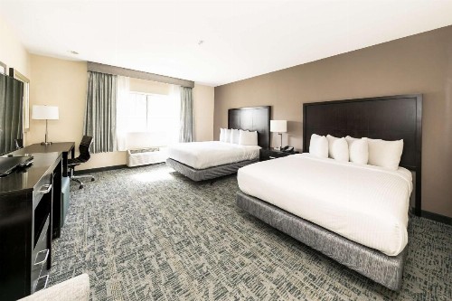 Comfort Inn & Suites San Diego Zoo SeaWorld Area - image 33