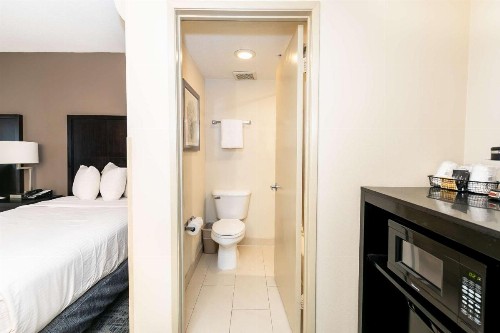 Comfort Inn & Suites San Diego Zoo SeaWorld Area - image 37