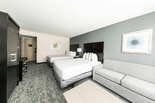 Comfort Inn & Suites San Diego Zoo SeaWorld Area - image 4
