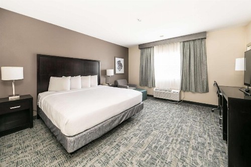 Comfort Inn & Suites San Diego Zoo SeaWorld Area - image 5