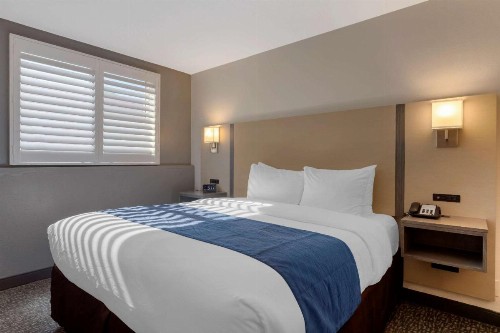 Comfort Inn San Diego Miramar - image 3