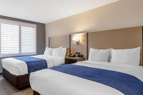 Comfort Inn San Diego Miramar - image 6
