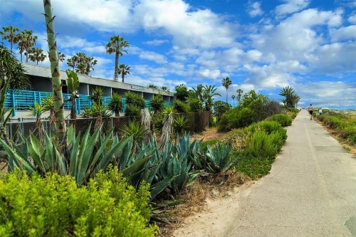 Ocean Villa Inn - image 26