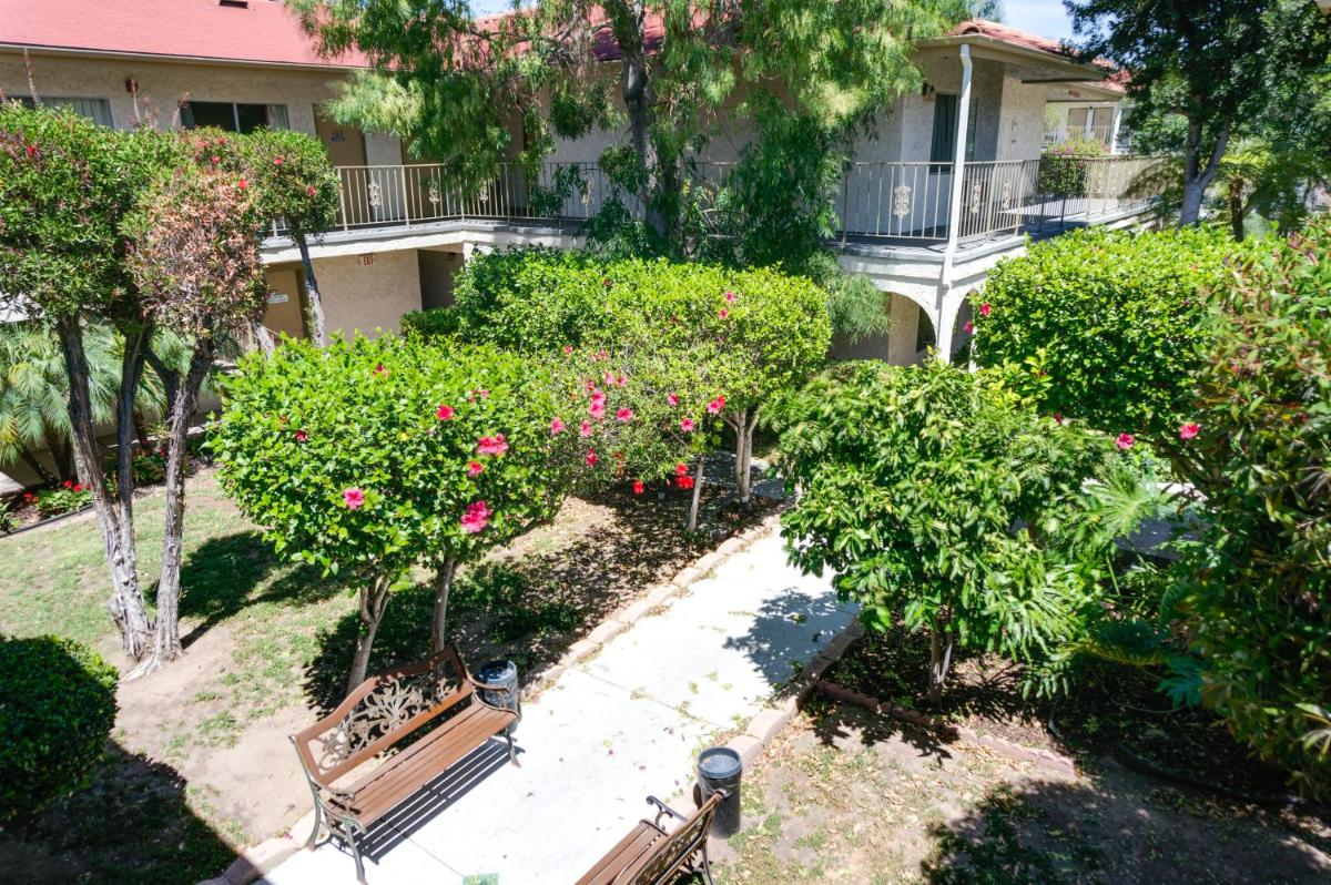 California Suites Hotel - image 4