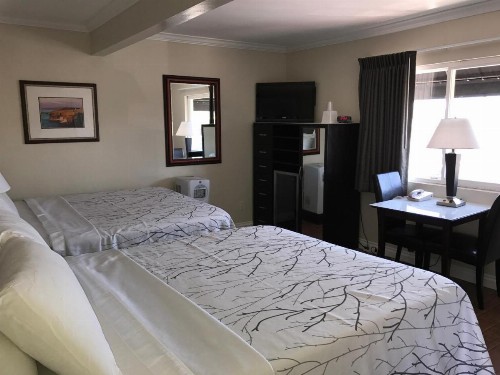 Ocean Beach Hotel - image 11