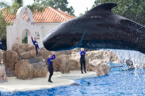 Holiday Inn Express San Diego SeaWorld an IHG Hotel - image 22