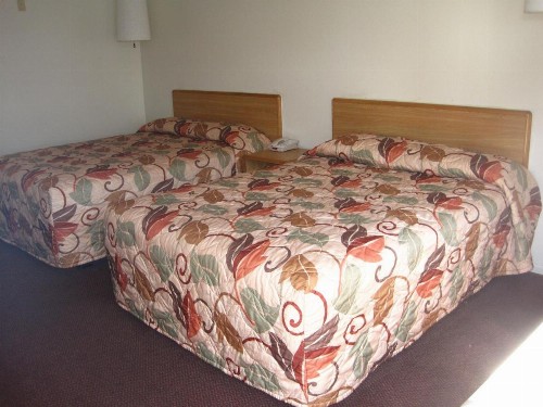 EZ 8 Motel Old Town - image 18