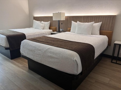 Best Western Mission Bay - image 13