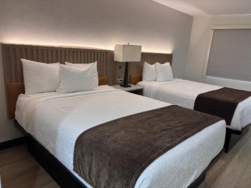 Best Western Mission Bay - image 2