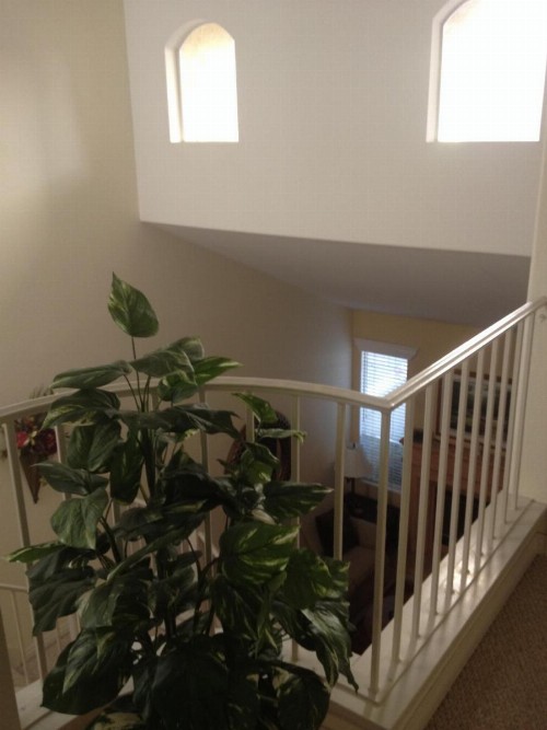 Del Mar Heights Getaway - image 6
