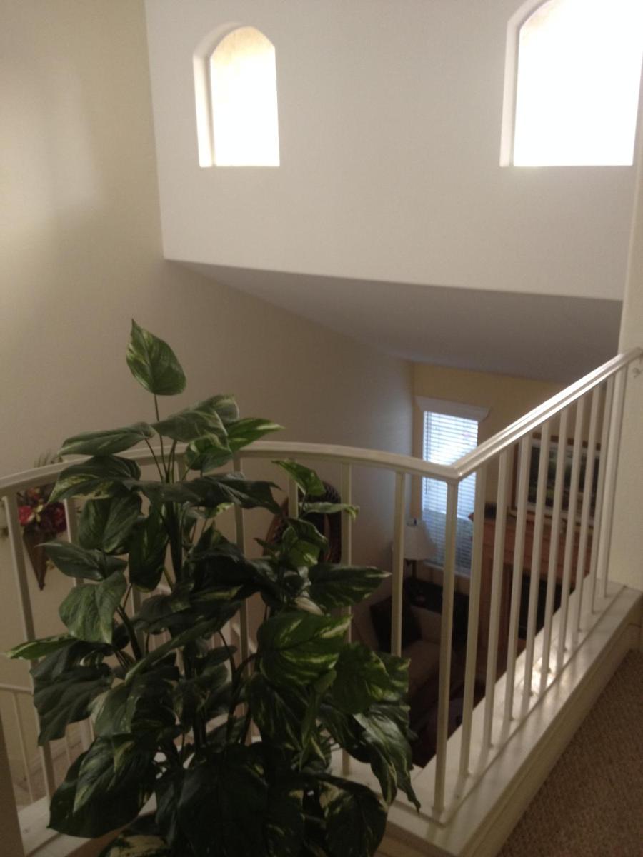 Del Mar Heights Getaway - image 6