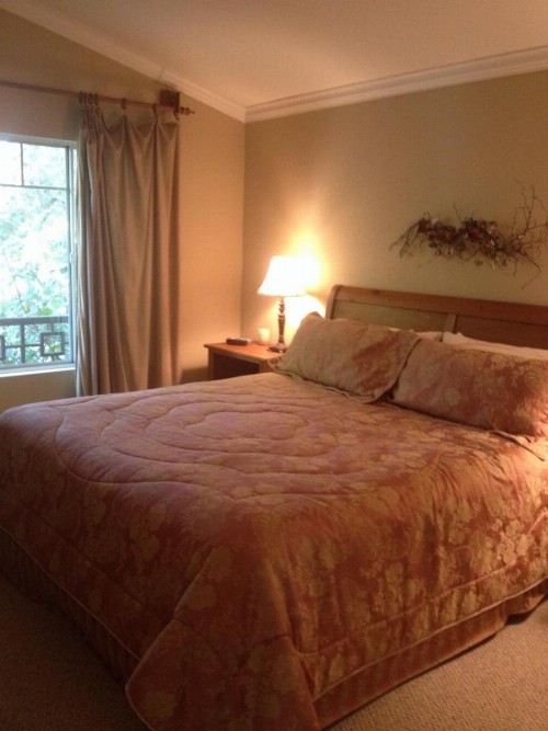 Del Mar Heights Getaway - image 7