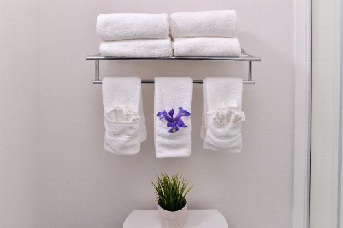 Holiday Inn Express & Suites San Diego - Mission Valley an IHG Hotel - image 4
