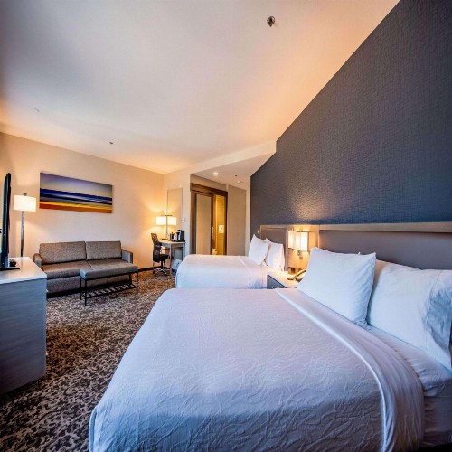 Hilton Garden Inn San Diego Mission Valley/Stadium - image 2