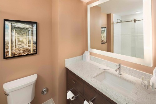 TownePlace Suites by Marriott San Diego Downtown - image 21