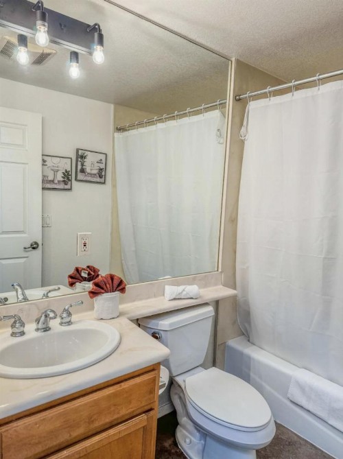 Little Italy Modern Lofts - image 17