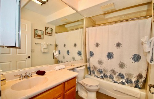 Little Italy Modern Lofts - image 36