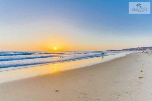 201-Surf Stars Studio - image 6