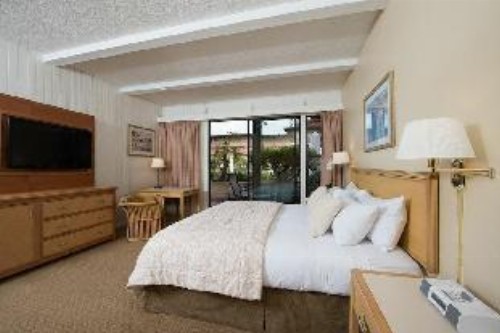 La Jolla Shores Hotel - image 5