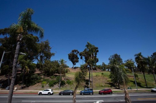 Spacious Studio with Incredible Balboa Park View - image 22