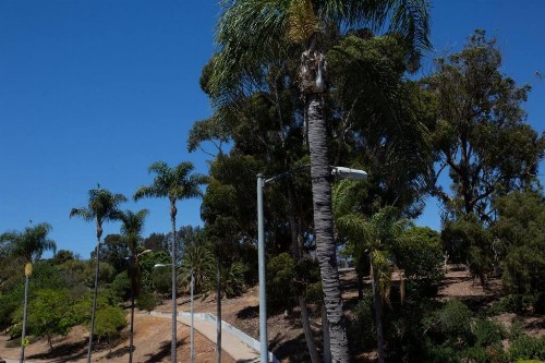 Spacious Studio with Incredible Balboa Park View - image 23