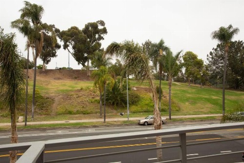 Explore Balboa Park From Your Cozy Studio w Patio - image 26