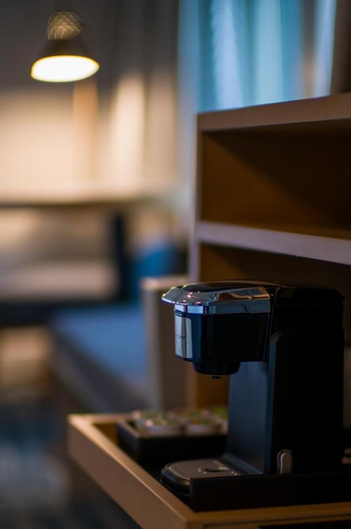 Good Hotel - image 18