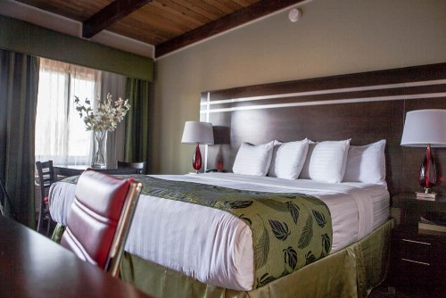 Motel Capri - image 37