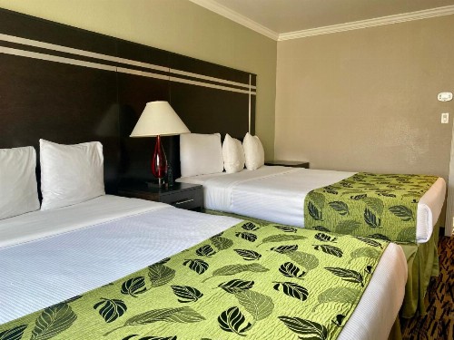 Motel Capri - image 4